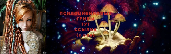 амф Козельск